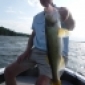 Musky's picture Musky's picture