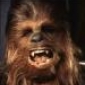 chewbacca's picture