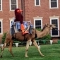 hokiecamel's picture hokiecamel's picture