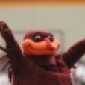 hokieproud's picture