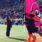 HokieBird 17's picture